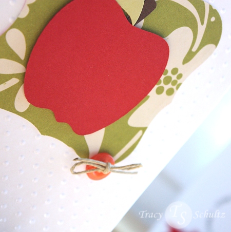 Apple close-up