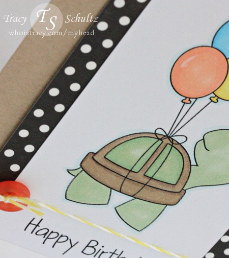 Birthday Turtle close-up
