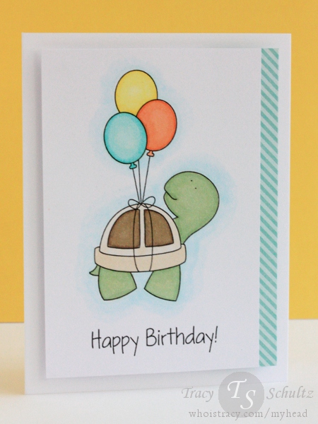 Turtle Birthday by Tracy Schultz