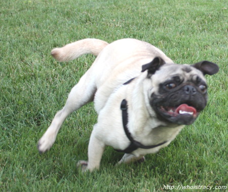 Running