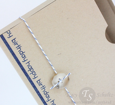 Birthday Box by Tracy Schultz