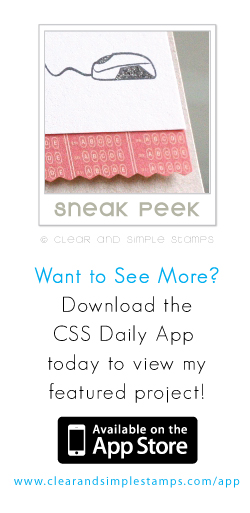 CSS App January 25th