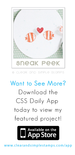CSS App January 29th