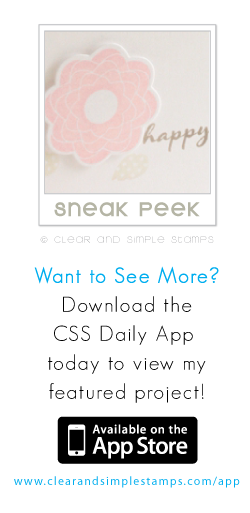 CSS App June 8th