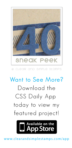 CSS App May 25th 2013