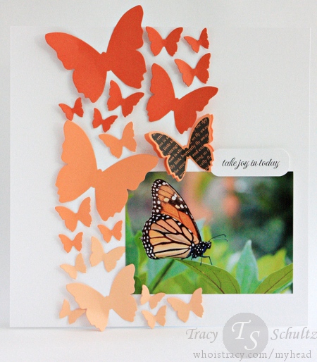 Joyful Butterflies