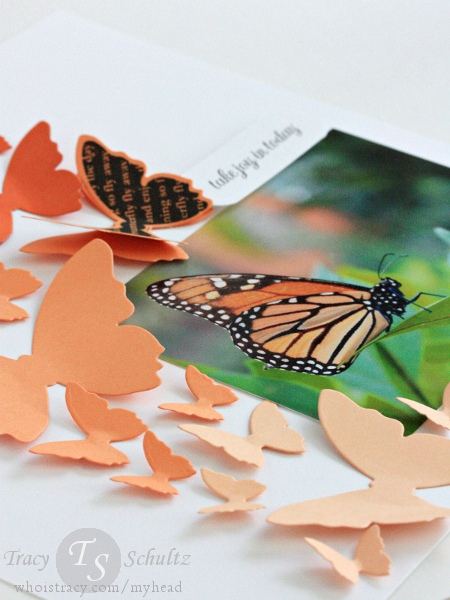 Joyful Butterflies