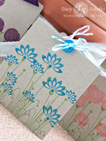 Blue Seed Packet close-up