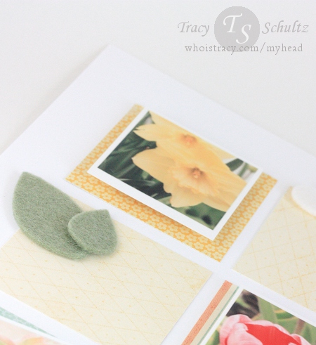 Spring layout leaves close-up