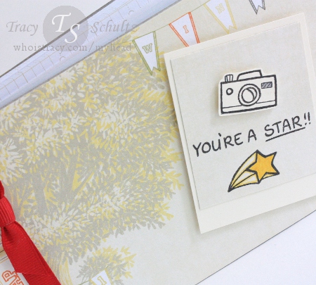 Star Album close-up by Tracy Schultz